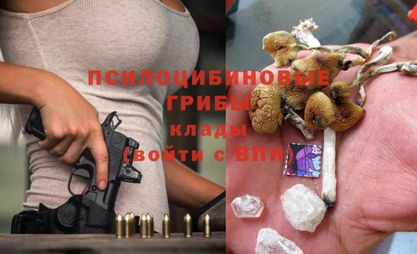 прущий лед Армянск