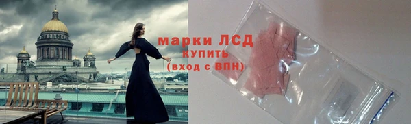 хмурый Арсеньев