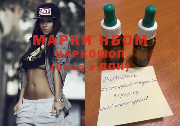 хмурый Арсеньев